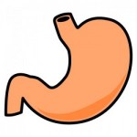 胃腸炎の後に、弱った胃腸に効く食べ物とは？
